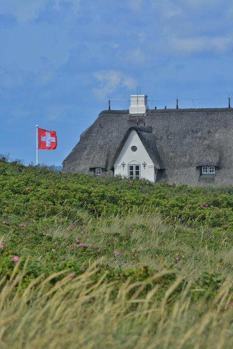 Swiss flag thatched cottage meadow — Slovakia Crypto License — The Fastest EU VASP Registration