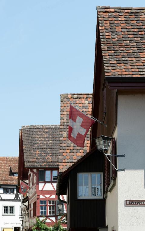 Swiss flag timber frame village — New Zealand Crypto License: FSP Registration 2026